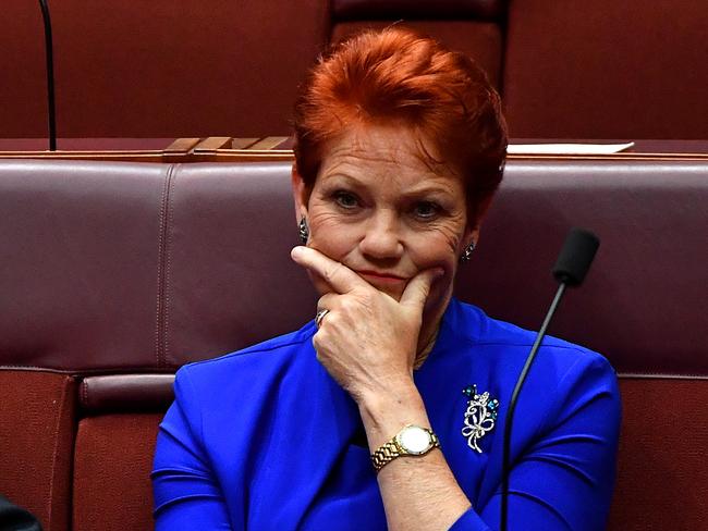 Senator Pauline Hanson has blasted Mr Joyce’s claim he is struggling to make ends meet on $211,000 a year. Picture: AAP