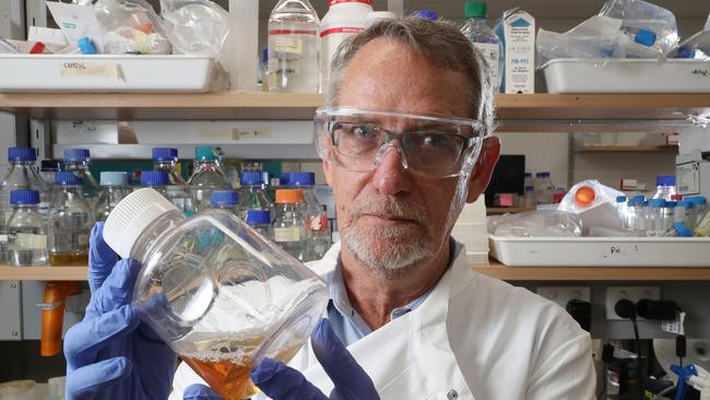 Professor of Virology Paul Young in the Molecular Virology Lab, where they are working on a rapid response vaccine. Photographer: Liam Kidston.