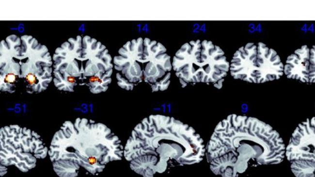 The British study showed a reduction in sensitivity to dishonesty over time. Picture: Nature Neuroscience