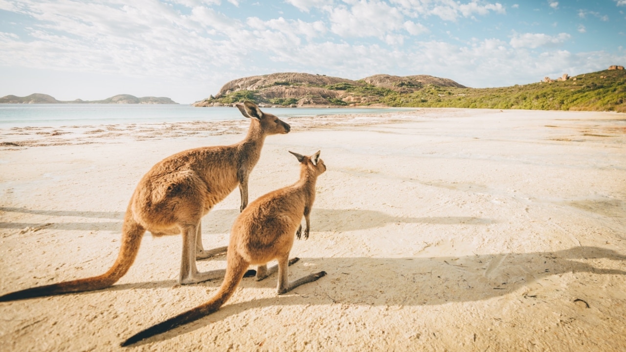 This is an ad: Crocodile Dundee promotion drives fair dinkum spending