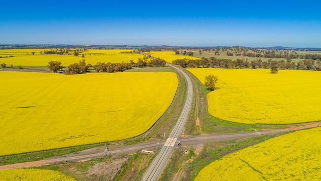 The Inland Rail passing a canola field in Parkes in central-west NSW.