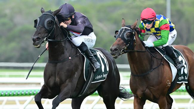 Elettrica racing away with the Sunshine Coast Cup on Saturday Picture: Grant Peters Photography