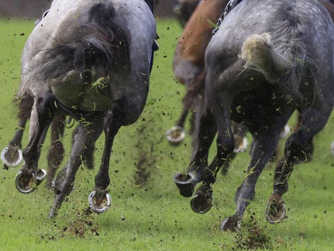 SYDNEY, AUSTRALIA - MARCH 19: Horses hooves are seen in  race 3 the QueenÃ¢â¬â¢s Cup during Sydney Racing Longines Golden Slipper Day, at Rosehill Gardens on March 19, 2022 in Sydney, Australia. (Photo by Mark Evans/Getty Images)