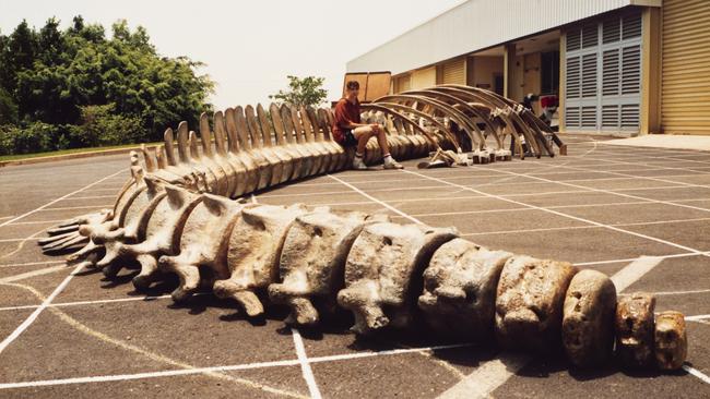 Museum trainee Jenni Risler with the skeleton laid out in the museum car park c1991. Picture: Ian Archibald