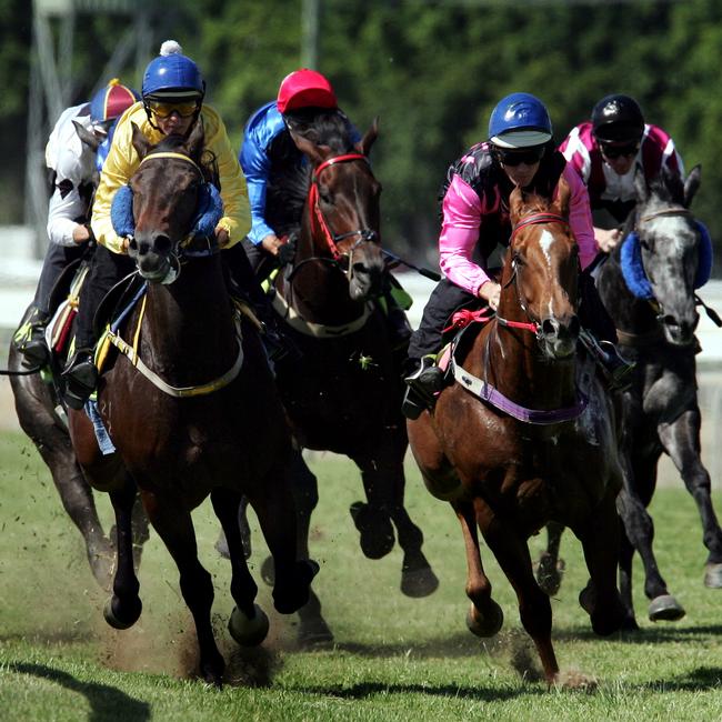 14/11/2006 X-QRG SPORT: 14/11/06 Pics at the Gold Coast Turf Club for barrier trials, winner of the first trial is no3 Emit Time ridden by Joe Bowditch (yellow with blue hat).