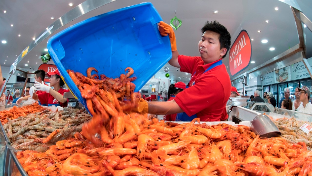 Qld enjoys bumper prawn season