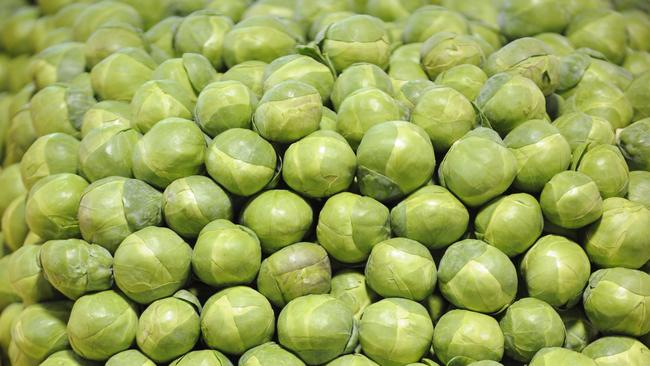 Brussels Sprout on display.