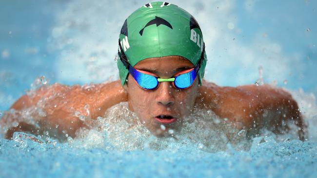 Ron Golombick pursues Olympic swimming dream | Herald Sun