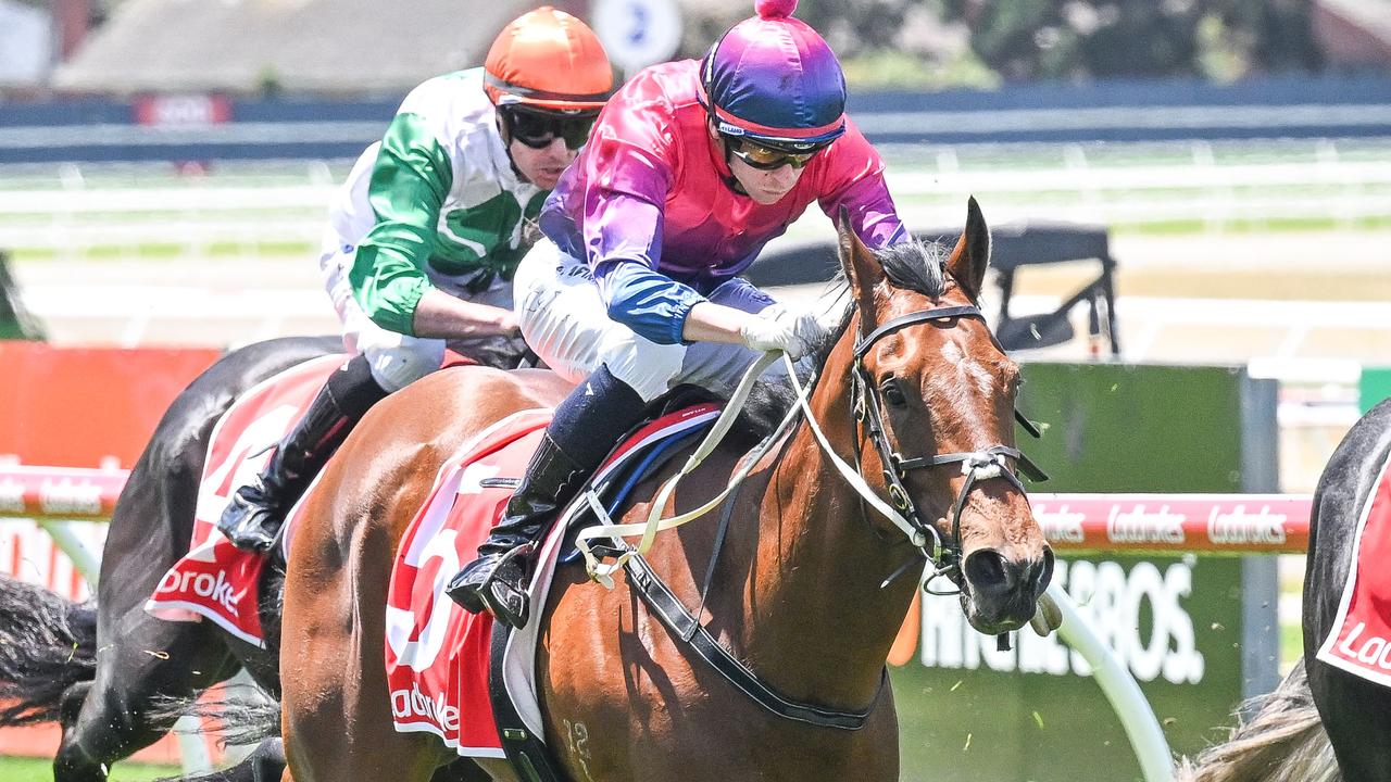 Hot Digity Boom can make an impact when the Mick Price and Michael Kent Jr-trained galloper resumes at Pakenham on Thursday. Picture: Racing Photos