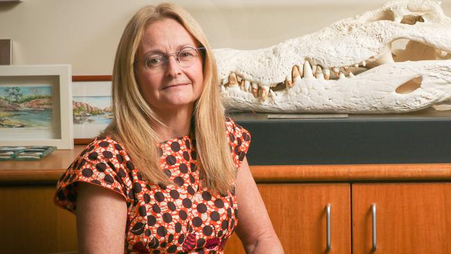 Territory Coroner Elisabeth Armitage. Picture: Glenn Campbell