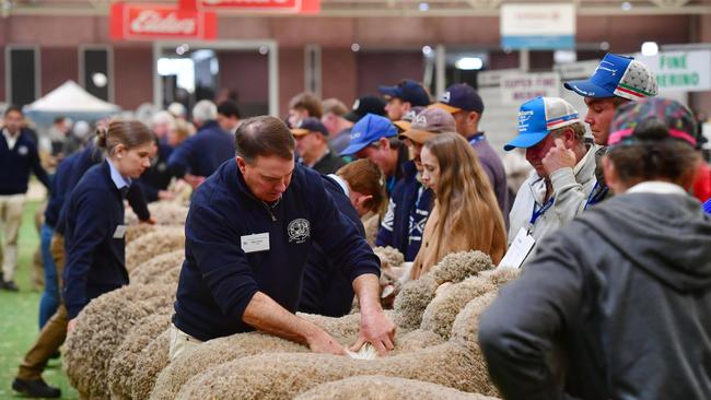 Judging was an enormous job. Picture: Zoe Phillips