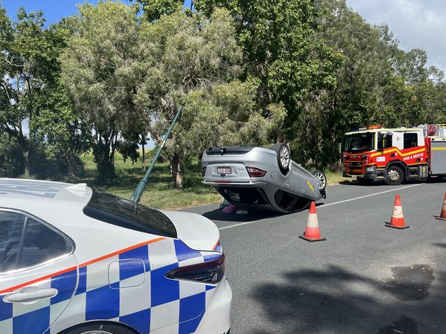 The car collided with a green light pole, visibly denting it and pushing it into the canopy of a nearby tree.