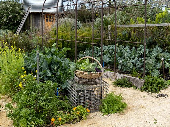Make the most of your available space. Picture: Sophie Thompson