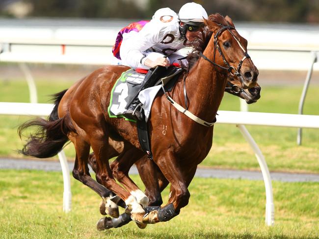 Honey Steel's Gold and jockey Shane Jackson combine to salute. Picture: Tait Schmaal