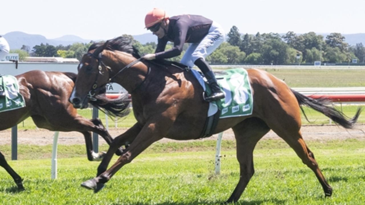 Just Feelin' Lucky can bounce back from her first-up second with a win at Kembla. Picture: Bradley Photos