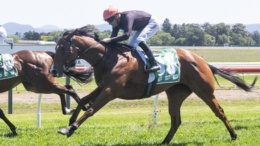 Just Feelin' Lucky can bounce back from her first-up second with a win at Kembla. Picture: Bradley Photos