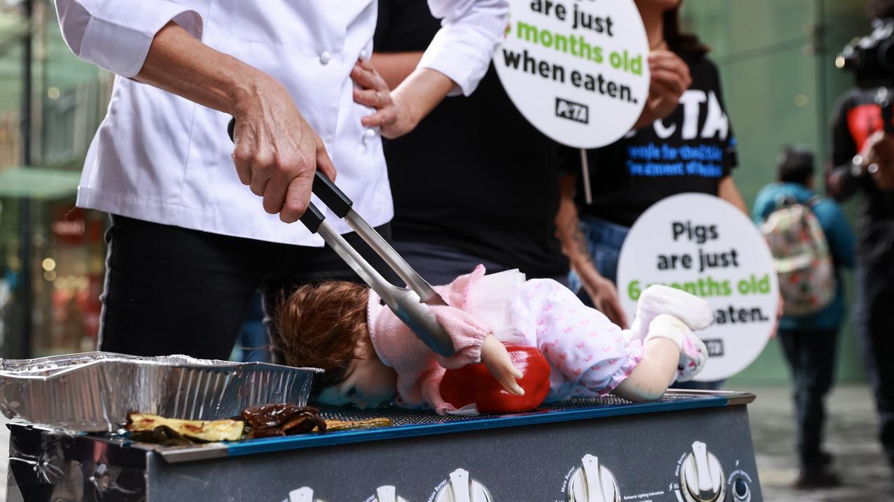 PETA has appealed to Australians ahead of their long weekend barbecues over Easter. Picture: NCA NewsWire / Justin Lloyd