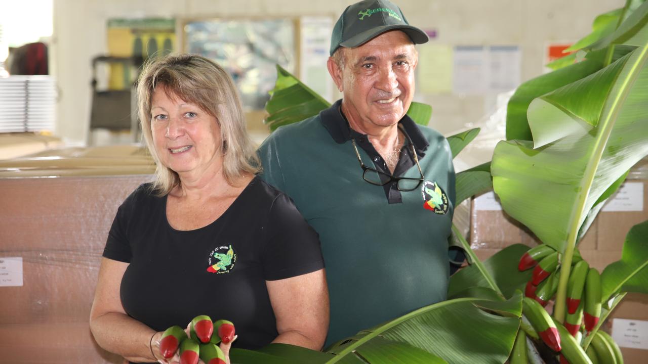 Pacific Coast Eco Bananas owners Dianne and Frank Sciacca. Picture: Arun Singh Mann