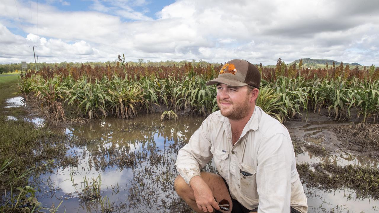 Carpendale farmer Joe Kluck with a sorghum crop damaged from flood waters. Picture: Nev Madsen.