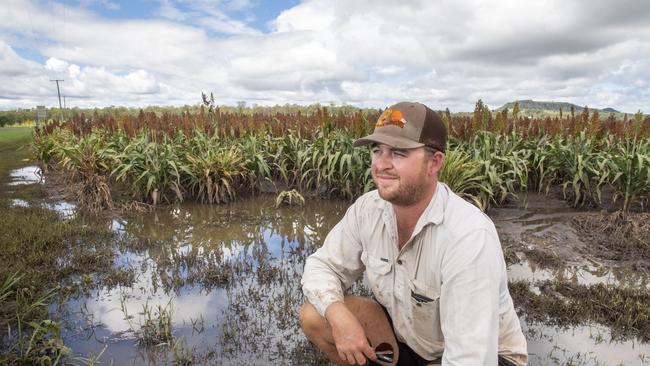 Carpendale farmer Joe Kluck with a sorghum crop damaged from flood waters. Picture: Nev Madsen.