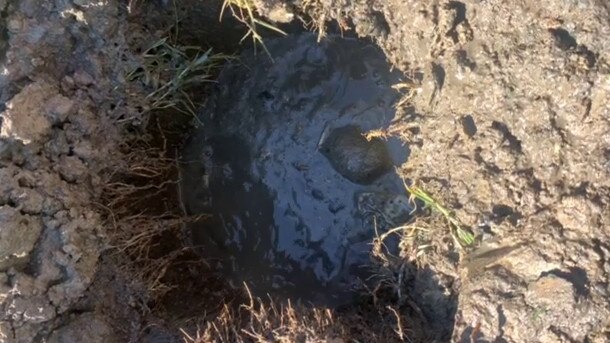 A still from a video of chemicals bubbling underneath the Bankstown Sports Complex site.