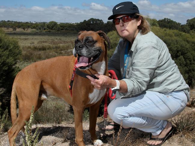 Raylene Main, 72, of Port Noarlunga, with 7 year old Boxer, Ã¢â¬ÅLennyÃ¢â¬Â. Raylene (spelt correctly), lost her 2 year old boxer, Ã¢â¬ÅLoganÃ¢â¬Â, after he chased a kangaroo into the Onkaparinga River reserve, and was drowned in a dam, by the kangaroo. 2 March 2024. Picture Dean Martin