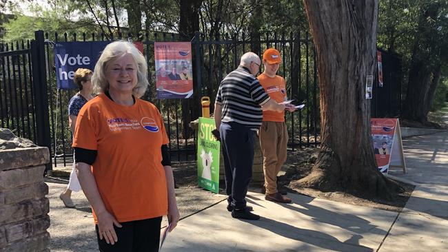 Northern Beaches Mayor Sue Heins voted for the nearly 40 per cent rate rise on Tuesday. Picture: Jim O'Rourke