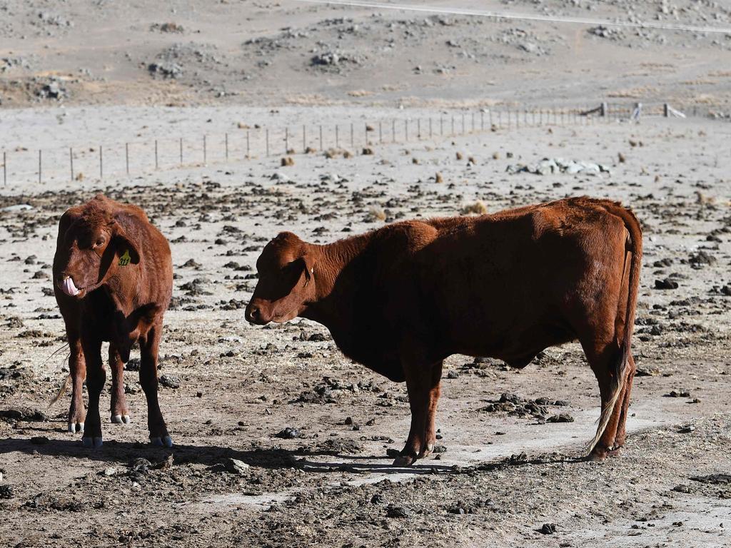Net zero ‘profit goal’ for farmers