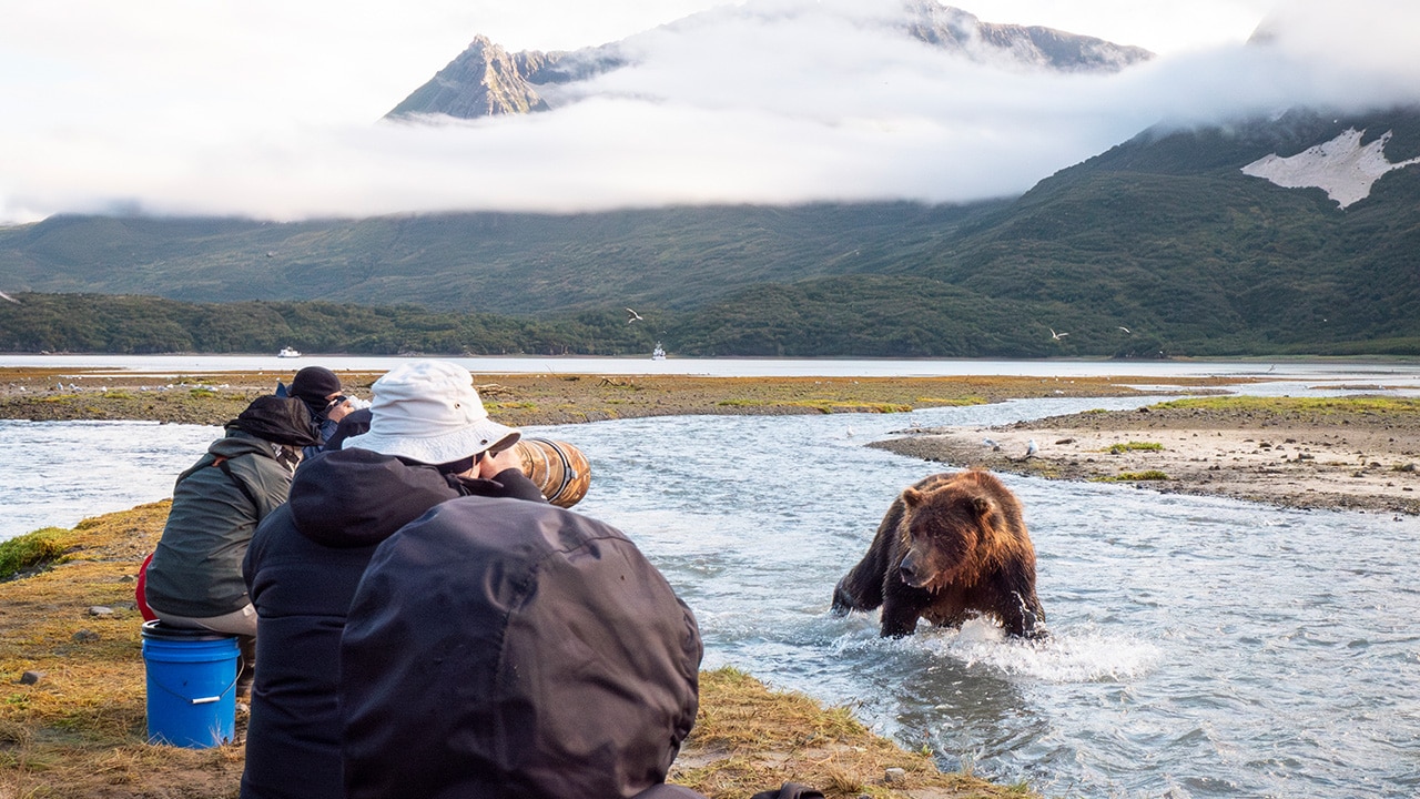 Photographing bears in Alaska. Picture: Chris Bray