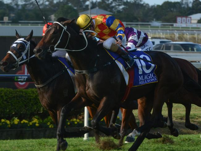 Jockey Jim Byrne rides Kebede to win race six during the Doomben Cup Day at Doomben racecourse in Brisbane, Saturday, May 21, 2016. (AAP Image/John Pryke) NO ARCHIVING, EDITORIAL USE ONLY