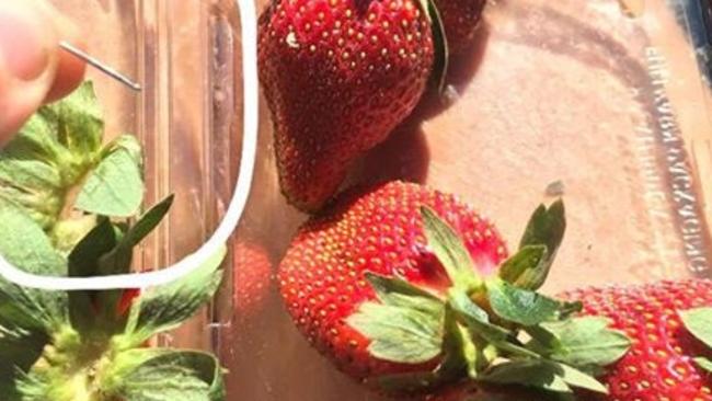 The needle allegedly found in strawberries purchased from Woolworths at northside Brisbane. Pic: Supplied.