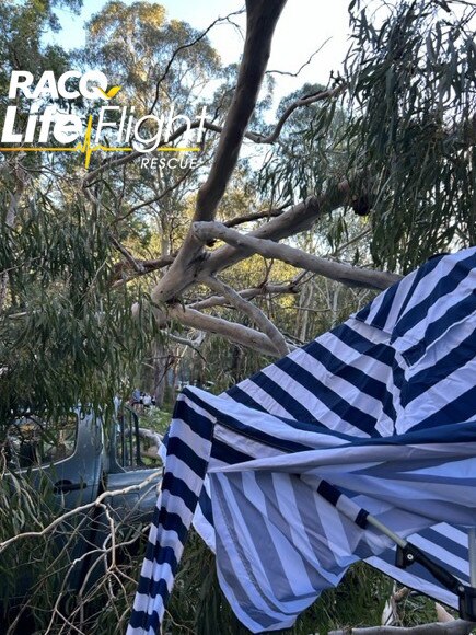 The woman was pinned for more than 30 minutes after a large gum tree fell on her at Southern Downs National Park. Picture: LifeFlight Media