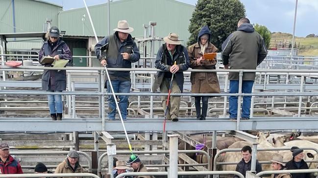 Final sales were made at the Warrnambool Livestock Exchange on Wednesday.