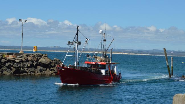 Hike up the Nut or hang out on the wharf in Stanley.