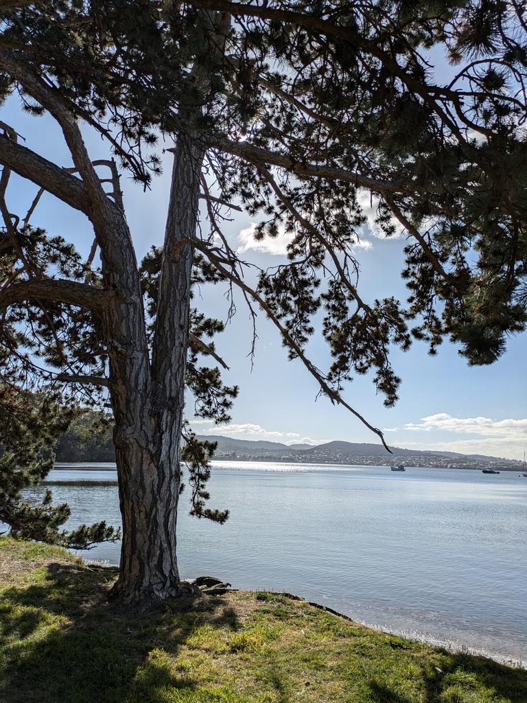 Cornelian Bay. Picture: Robyn Saunders. Your Focus on Tasmania ***ONE TIME USE ONLY***