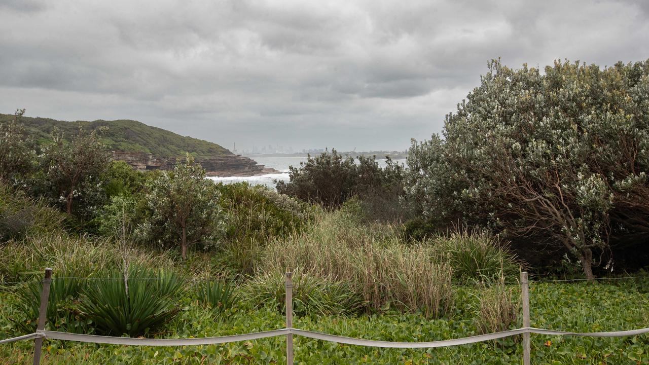 Police have searched Kamal National Park in Kurnell for the bodies of the two men. Picture: Julian Andrews