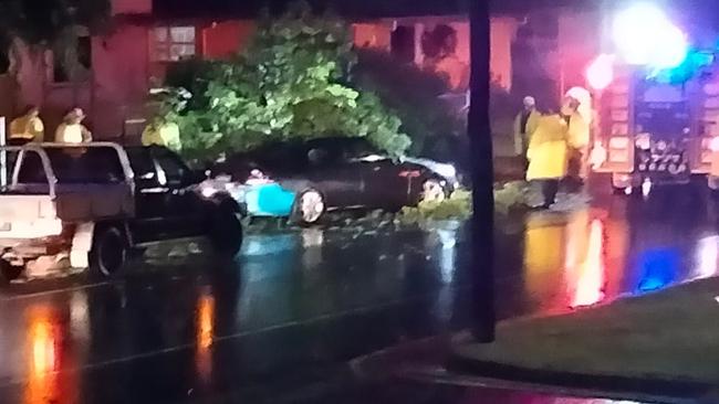 Roger Buckely shared this frightening image of a car hit by a tree.