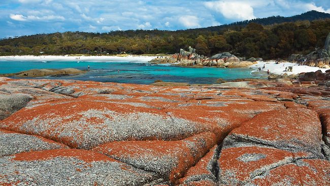 escape tasmania