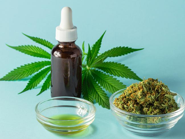 THC or CBD oil, an extract made from the flowers and leaves of the cannabis or hemp plant. Dried marijuana buds are on the right and a glass bottle containing the oil is in the back with leaves from the plant.