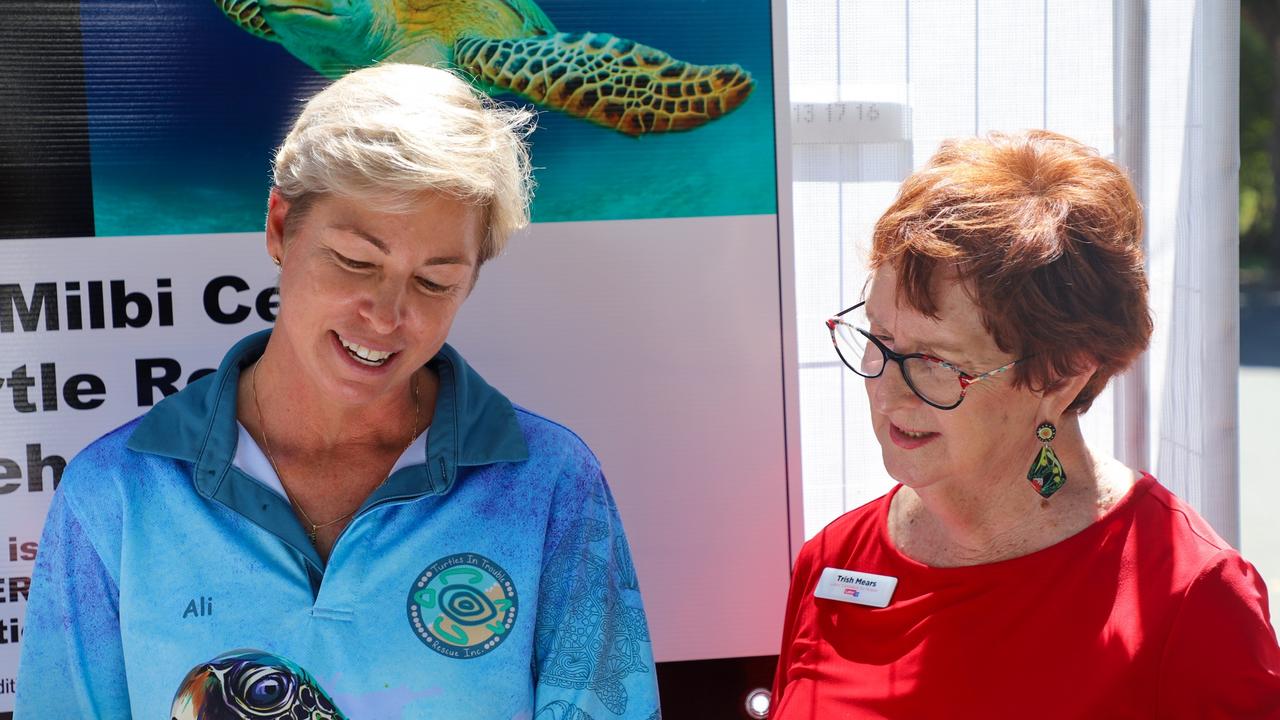 More than 1400 turtles have been rescued on the Fraser Coast over the past two years, with more than 300 needing specialist care at the nearest rehabilitation facility on the Sunshine Coast.