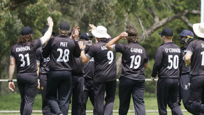 Boneo players celebrate a wicket. Picture: Valeriu Campan