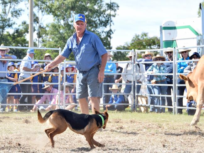 BEEF AUSTRALIA 21: Neil McDonald's working dogs demonstration