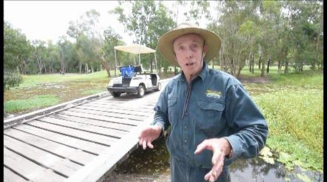 Mozzies at Mount Coolum