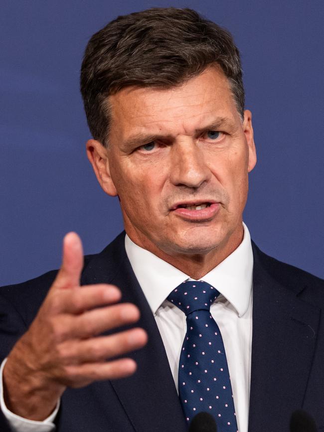 Shadow Treasurer Angus Taylor. Picture: NewsWire / Monique Harmer