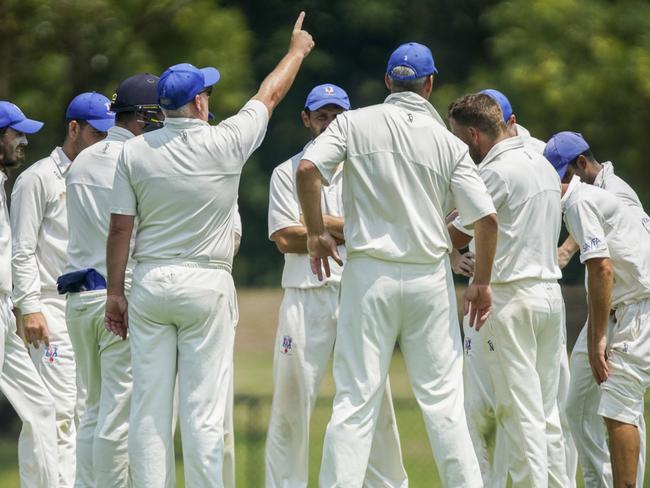 Long Island talk it over after taking a wicket on Saturday. Picture: Valeriu Campan