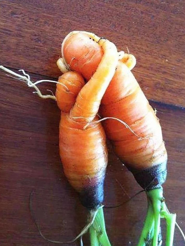 Even carrots sometimes feel like a hug. Picture: splitpics.uk