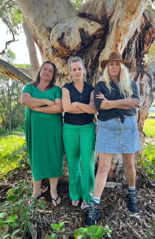 Greens candidate for Richmond Mandy Nolan protesting the Wallum Development at Brunswick Heads in March. Picture: Supplied