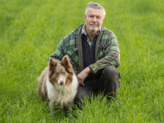 Tale of two seasons for Victorian growers