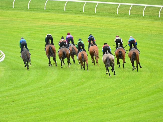 MELBOURNE, AUSTRALIA - FEBRUARY 29: General view of official trials on the new Caulfield Heath track (inside) at Caulfield Racecourse on February 29, 2024 in Melbourne, Australia. (Photo by Vince Caligiuri/Getty Images)