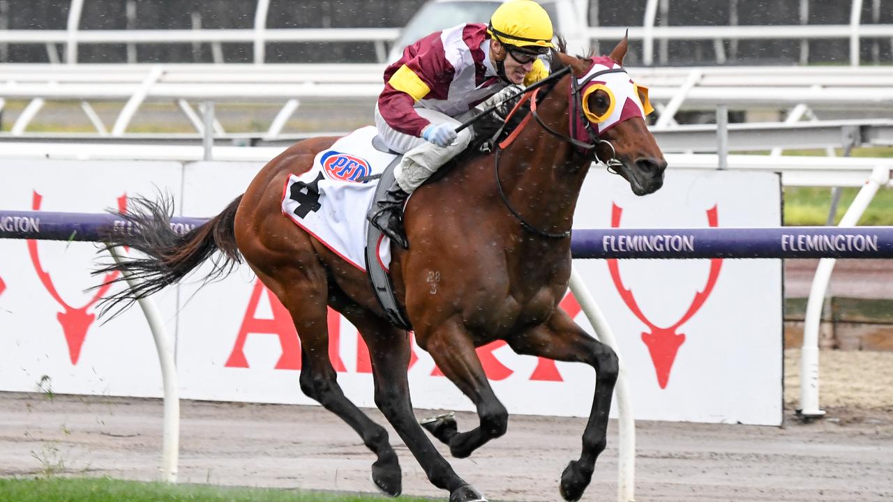 Fierce Impact (JPN) ridden by Mark Zahra wins the PFD Food Services Makybe Diva Stakes at Flemington Racecourse on September 12, 2020 in Flemington, Australia. (Reg Ryan/Racing Photos via Getty Images)